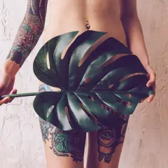 Körper mit detaillierten Tätowierungen, die sich über Arm und Beine erstrecken. Ein großes Monstera-Blatt verdeckt den Intimbereich, ein subtiler Hinweis auf ein intim tattoo.