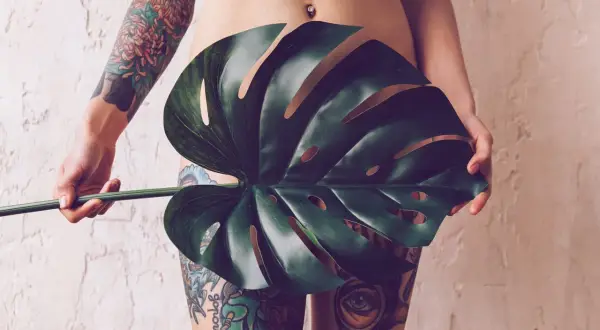 Körper mit detaillierten Tätowierungen, die sich über Arm und Beine erstrecken. Ein großes Monstera-Blatt verdeckt den Intimbereich, ein subtiler Hinweis auf ein intim tattoo.