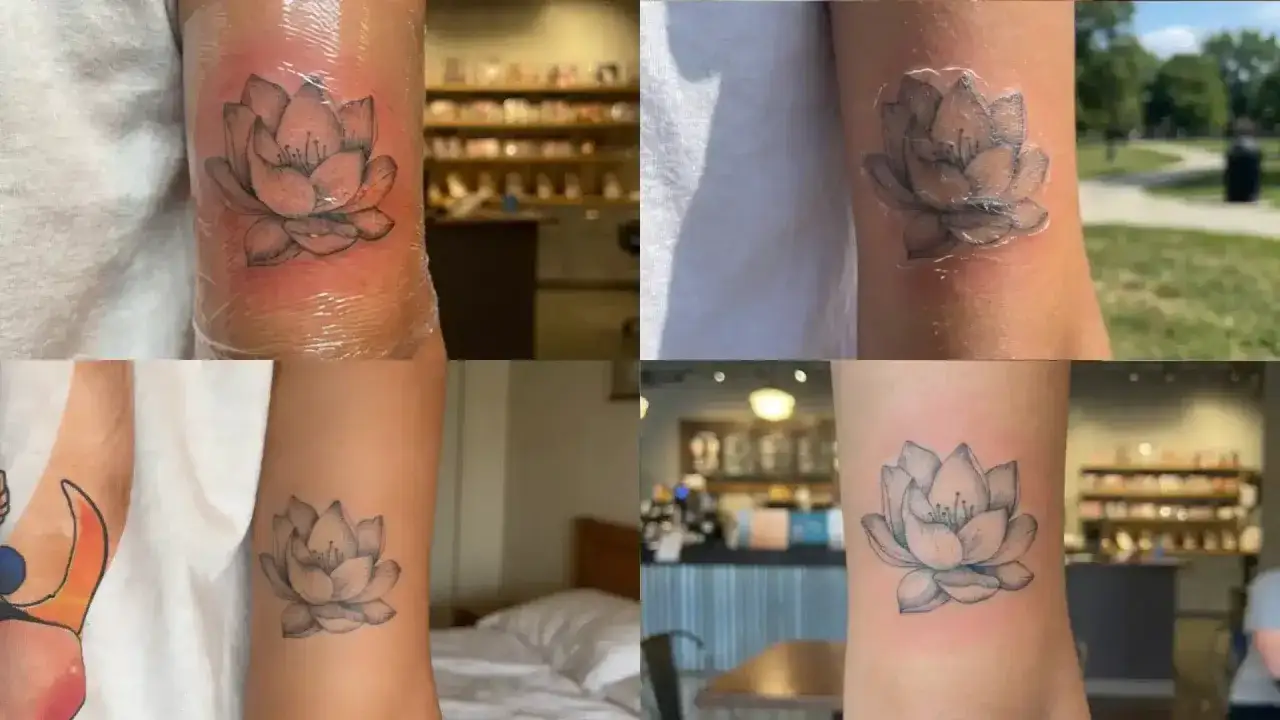 Vier Arme mit frisch gestochenem Lotus-Tattoo. Ein Arm zeigt deutliche Rötung, typisch für ein tattoo rot nach stechen.